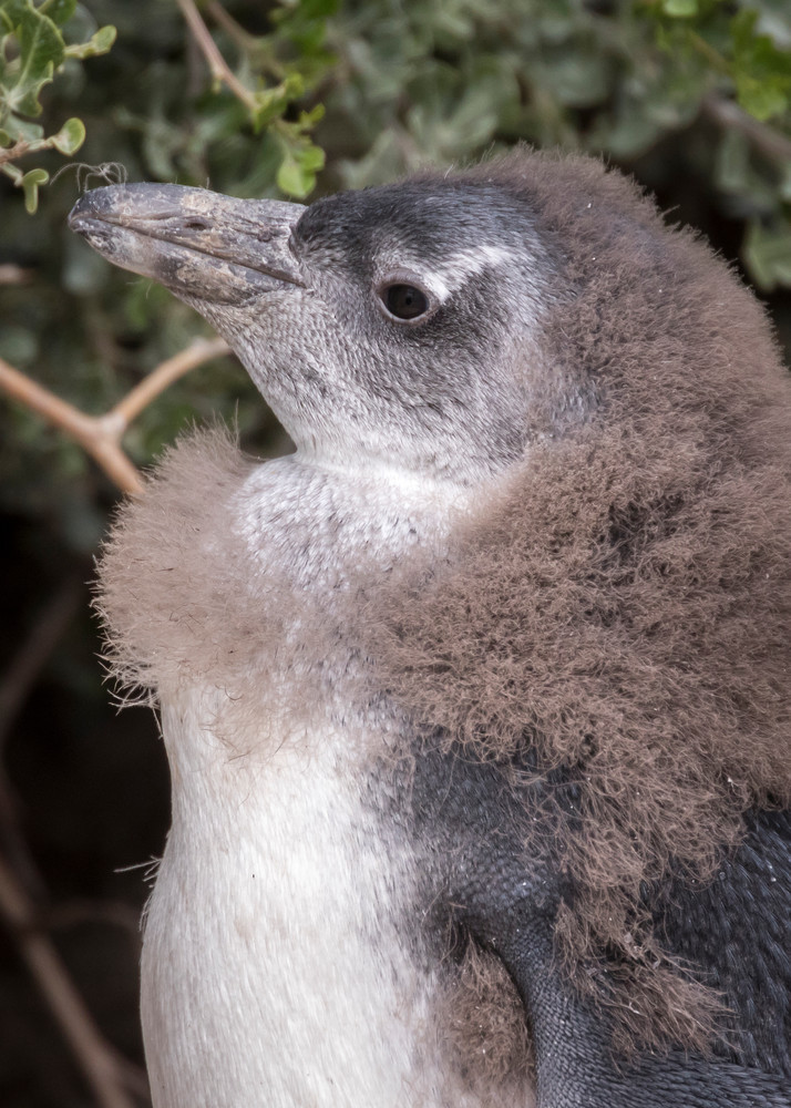 S00 A2842 Photography Art | Captured Adventure Photography