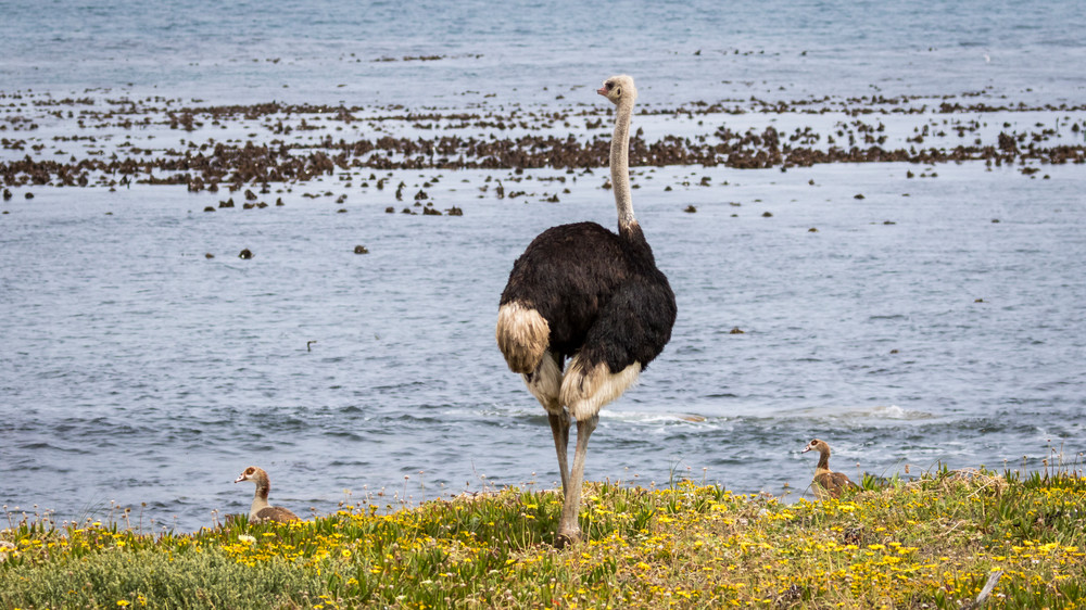 S00 A2802 1 Photography Art | Captured Adventure Photography