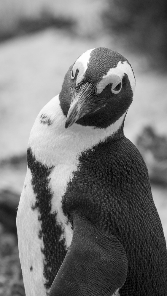 S00 A2973 Photography Art | Captured Adventure Photography