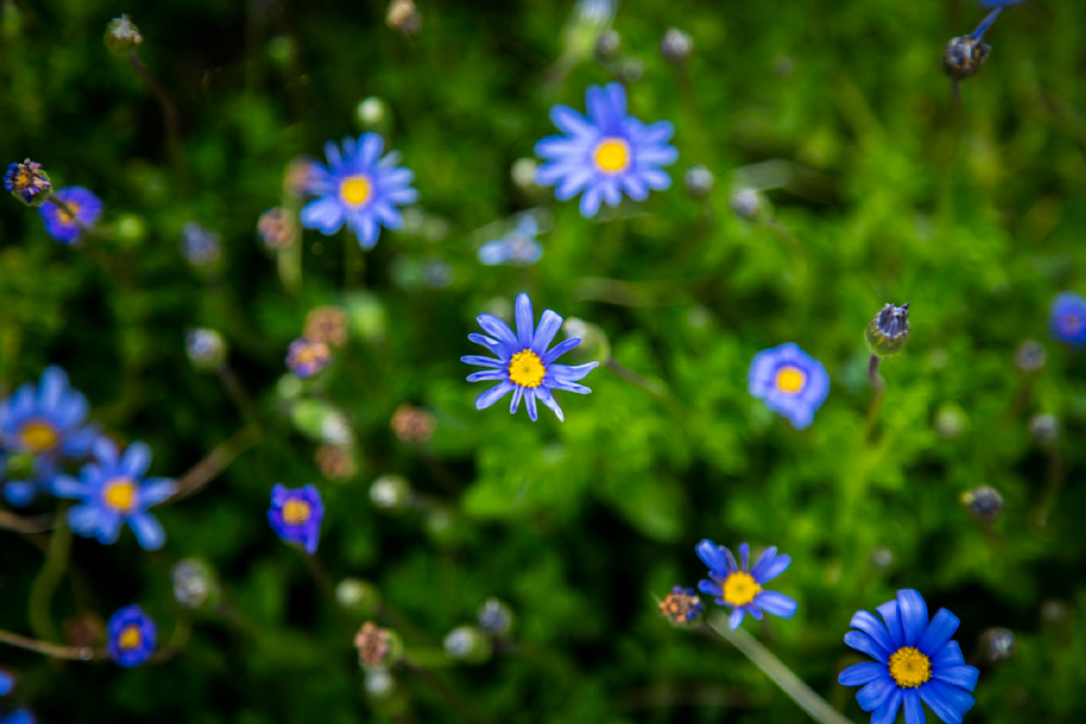 0 Y4 A8393 Photography Art | Captured Adventure Photography