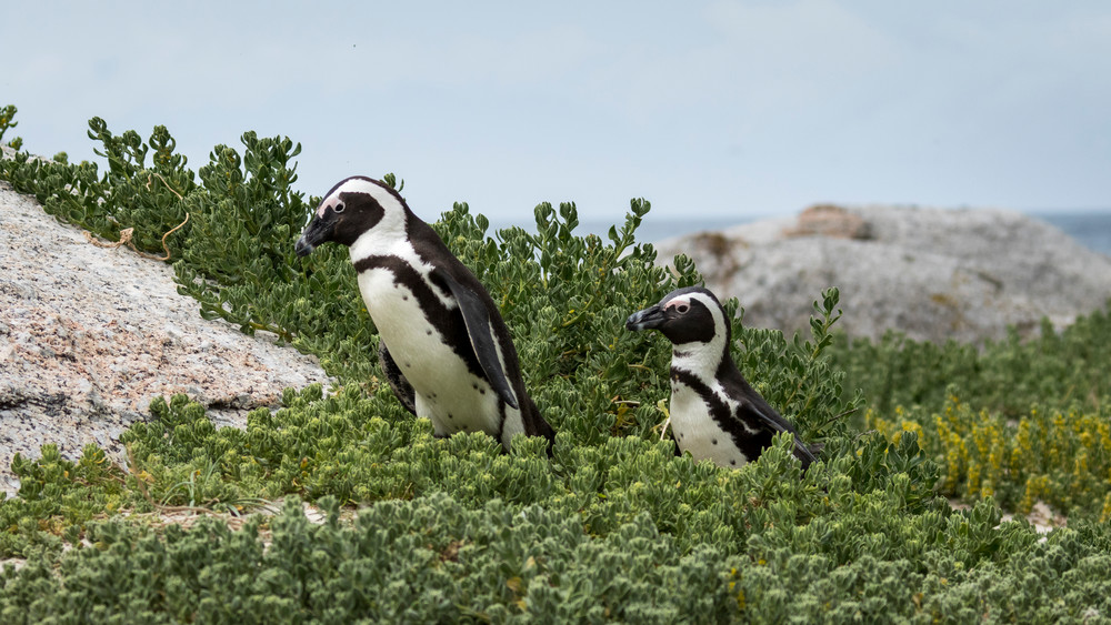 S00 A3028 Photography Art | Captured Adventure Photography