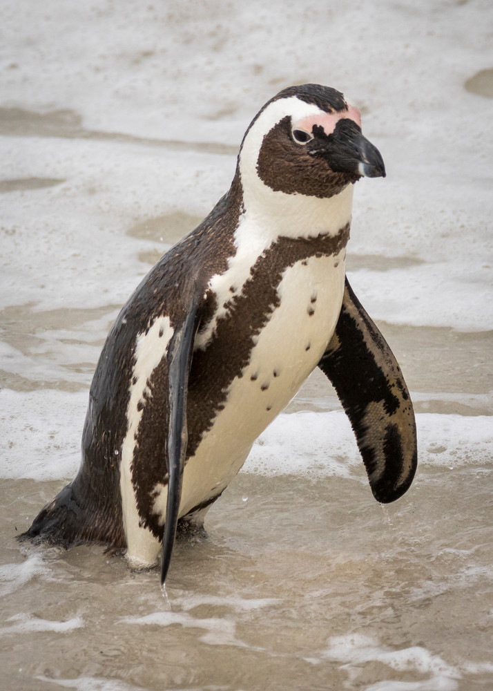 S00 A3250 Photography Art | Captured Adventure Photography