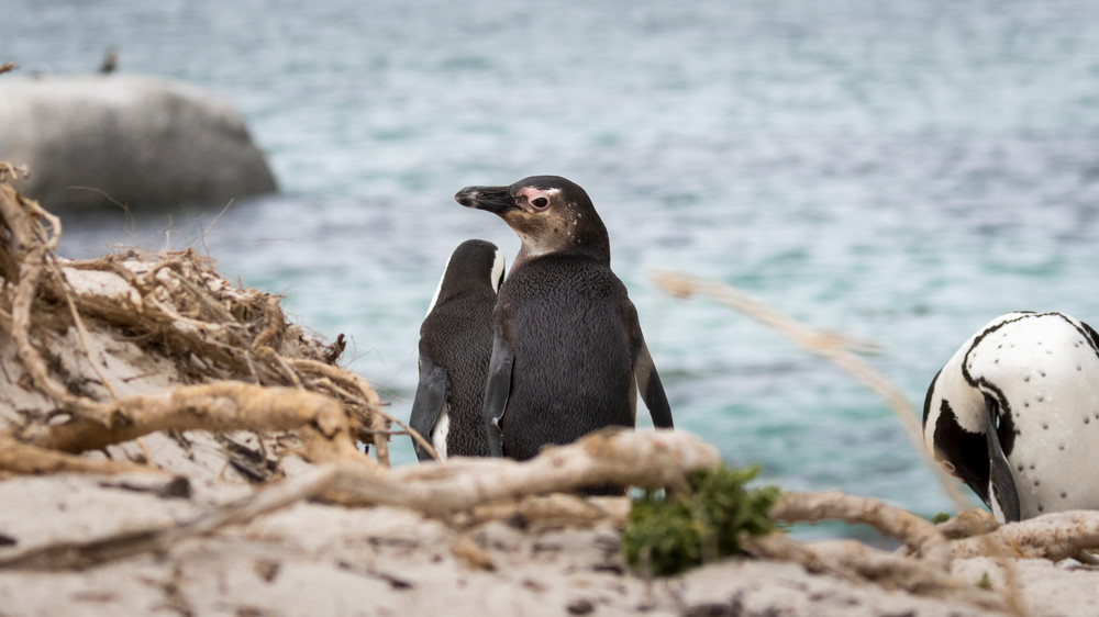 S00 A3064 Photography Art | Captured Adventure Photography