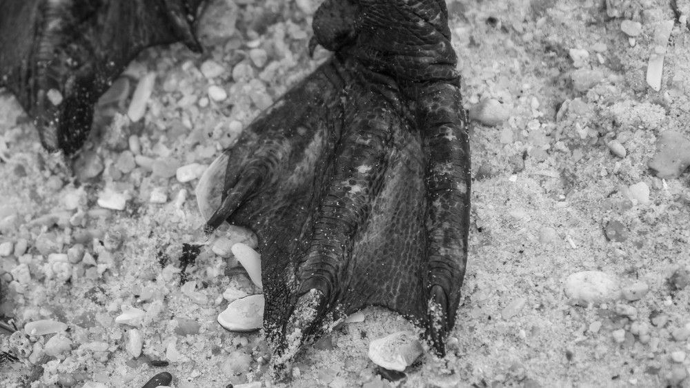 S00 A3222 Photography Art | Captured Adventure Photography