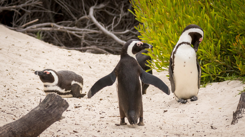 X S00 A2926 Photography Art | Captured Adventure Photography