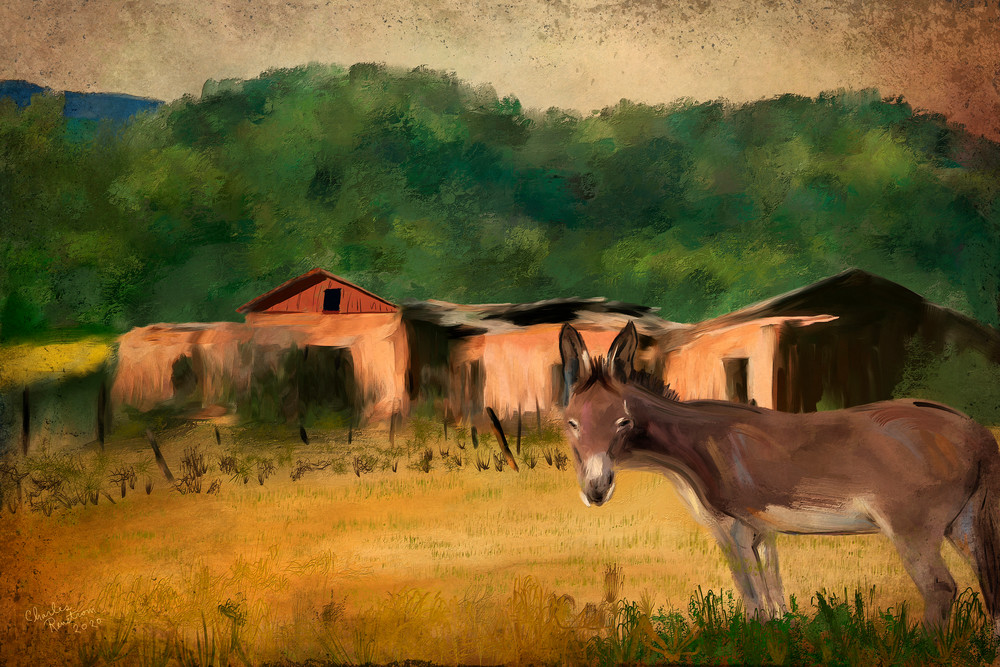 Donkey Oatie Art | chuckrenstrom.com