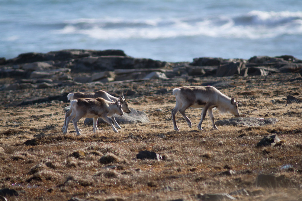 Img 7265 Photography Art | Captured Adventure Photography