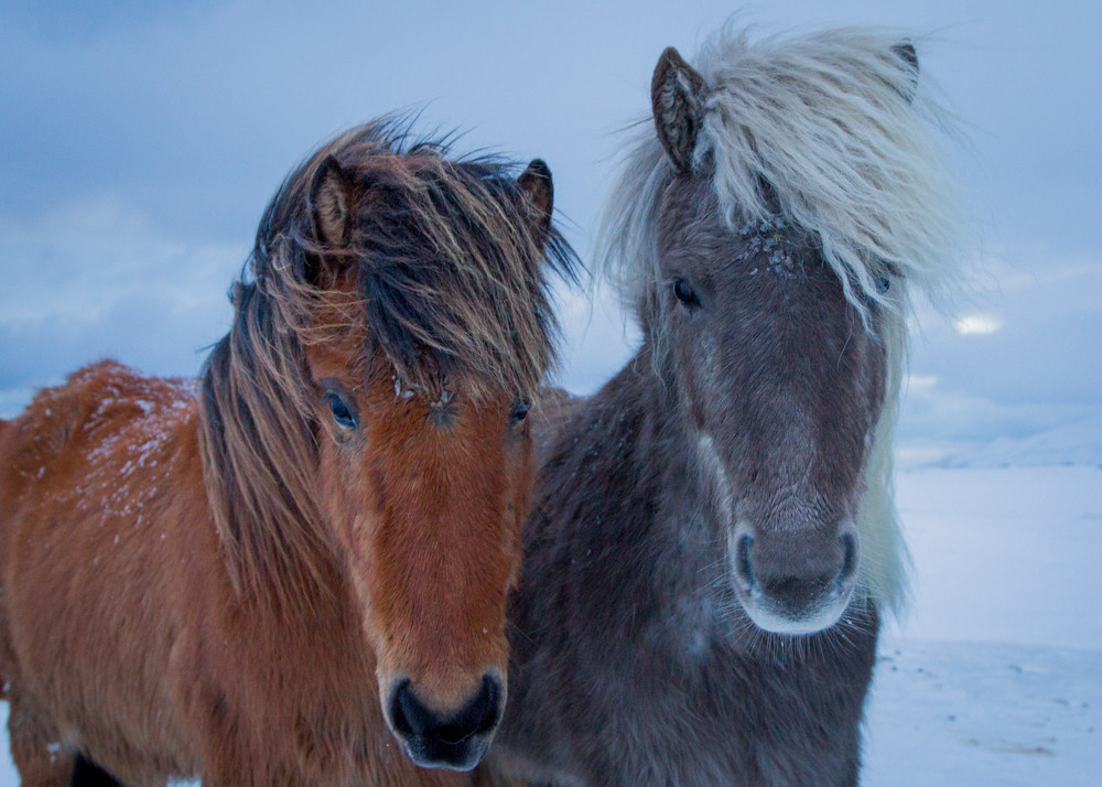 Img 8852 Photography Art | Captured Adventure Photography