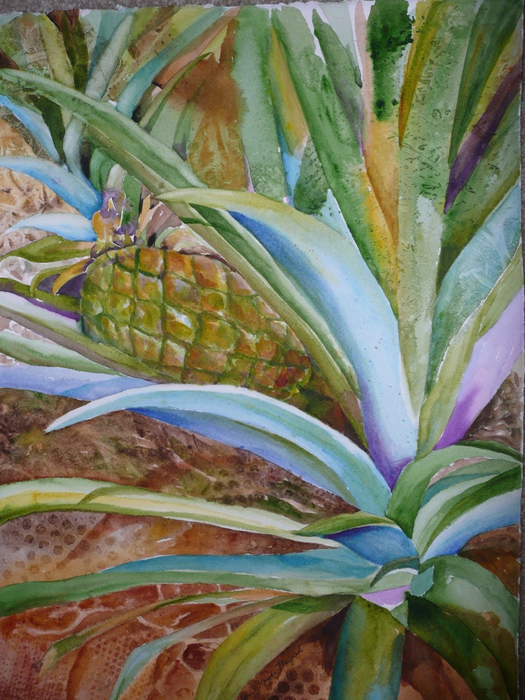 Baby Pineapple, From an Original Watercolor Painting
