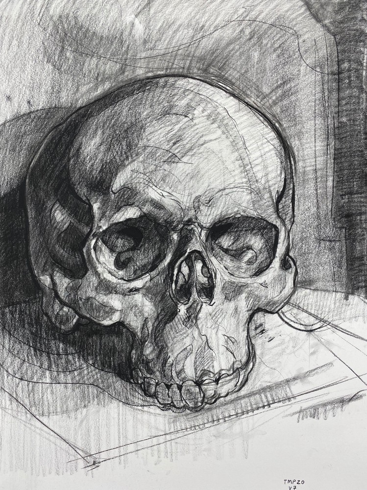 Skull V.7 Art | Matt Pierson Artworks