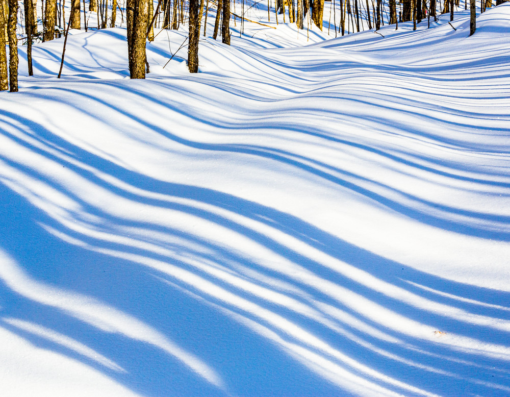 Winter Shadows, trees, Snow, Muskoka, Ontario, Canada