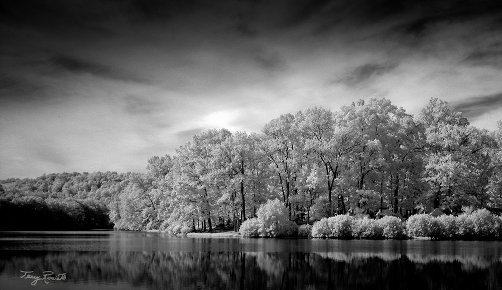 Stately - A Beautiful Infrared Image by Terry Rosiak
