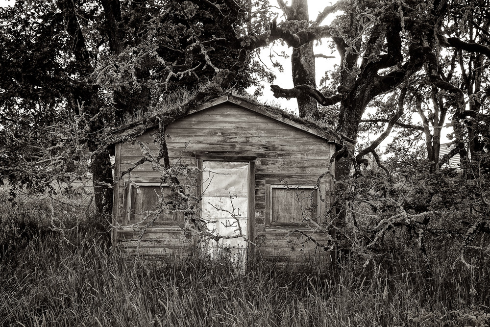 Delapidated Shack In Goshen Oregon Art | Shaun McGrath Photography