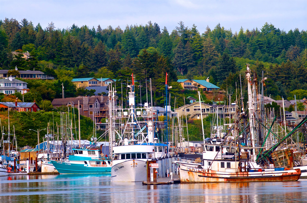 Fishing Boats In Newport, Oregon Art | Shaun McGrath Photography