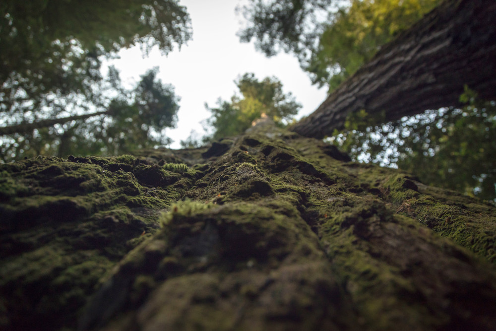 0 Y4 A0022 Photography Art | Captured Adventure Photography