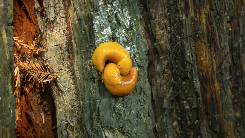 0 Y4 A0144 Photography Art | Captured Adventure Photography