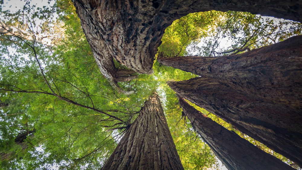 0 Y4 A0083 Photography Art | Captured Adventure Photography