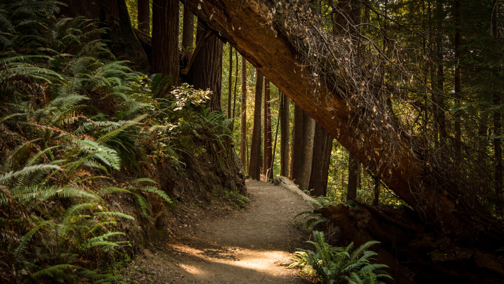 0 Y4 A0202 Photography Art | Captured Adventure Photography