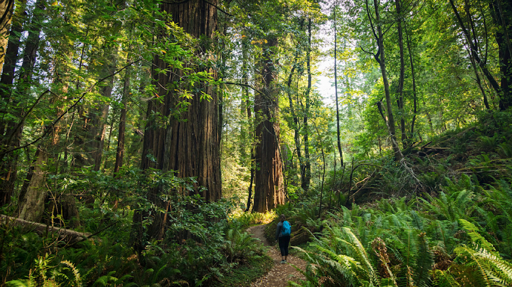 0 Y4 A0117 Photography Art | Captured Adventure Photography