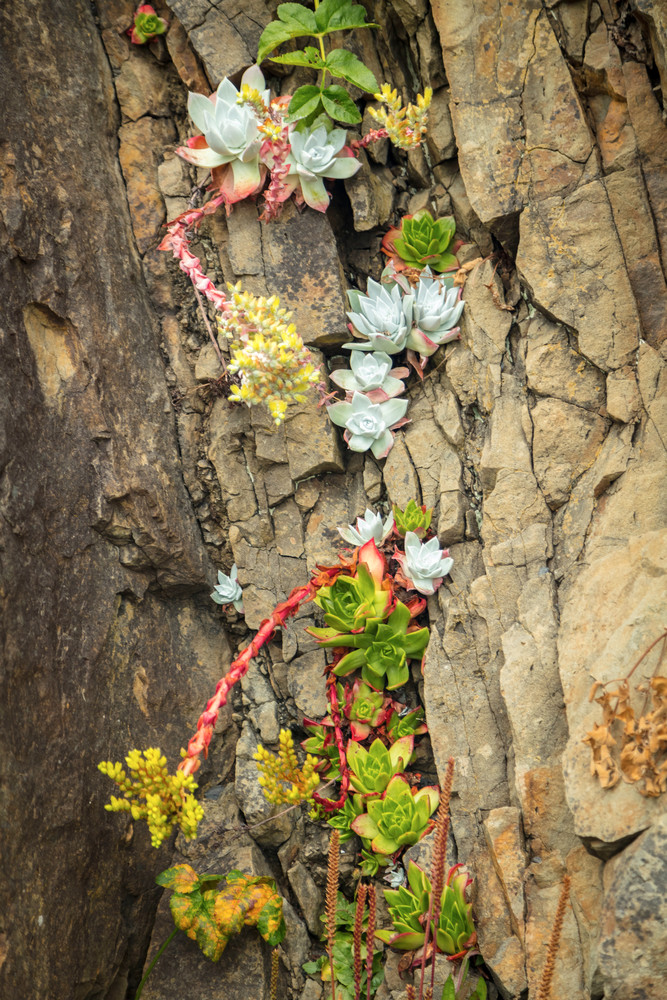 0 Y4 A0650 Photography Art | Captured Adventure Photography