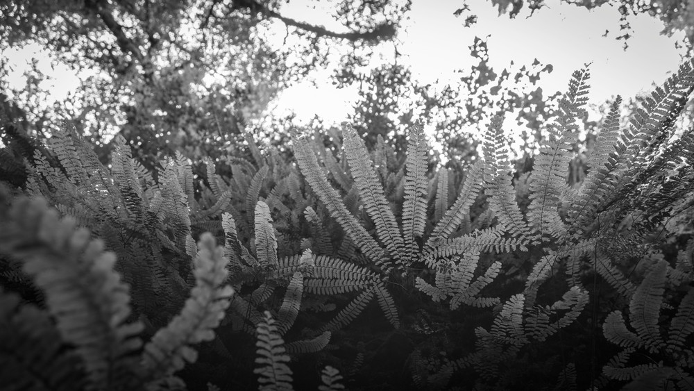 0 Y4 A0276 Photography Art | Captured Adventure Photography