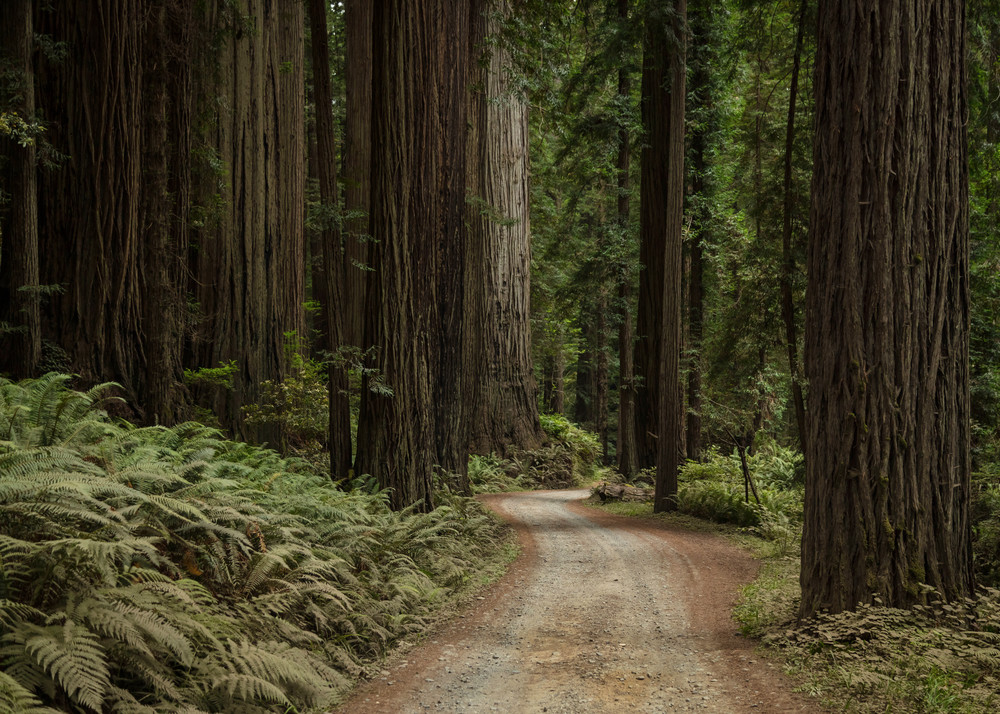 0 Y4 A0592 Photography Art | Captured Adventure Photography