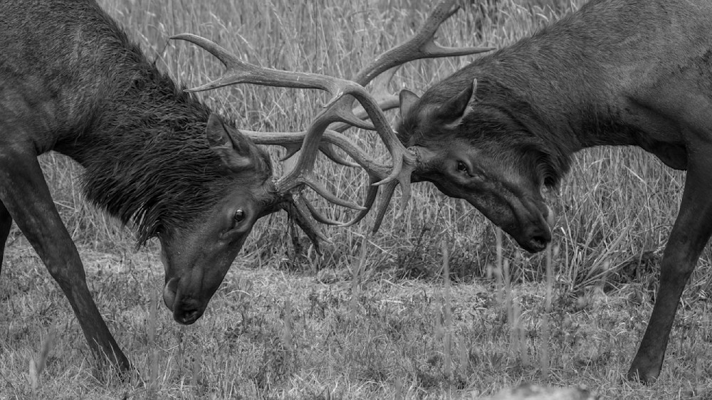 S00 A3652 1 Photography Art | Captured Adventure Photography