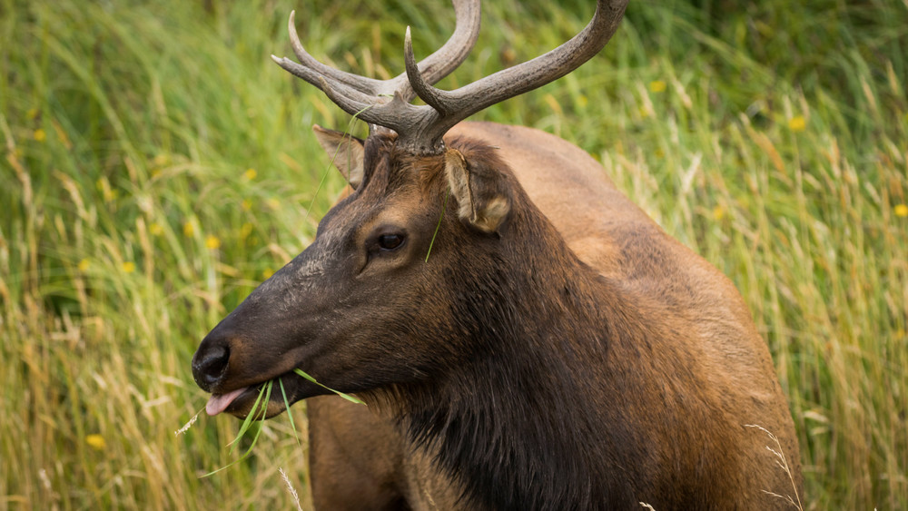 S00 A3883 Photography Art | Captured Adventure Photography