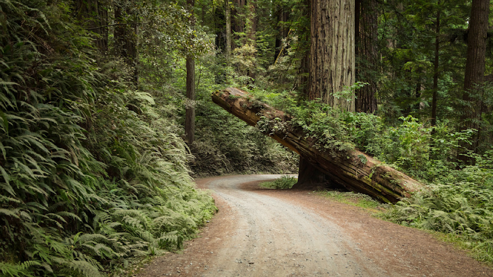 0 Y4 A0594 Photography Art | Captured Adventure Photography