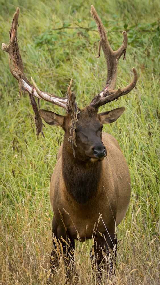 S00 A4109 1 Photography Art | Captured Adventure Photography