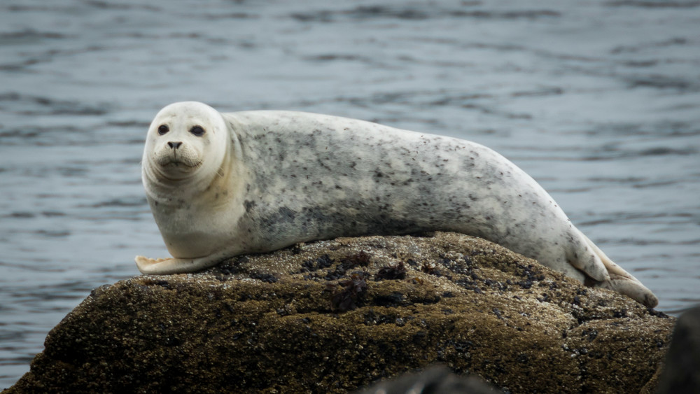 S00 A4542 Photography Art | Captured Adventure Photography