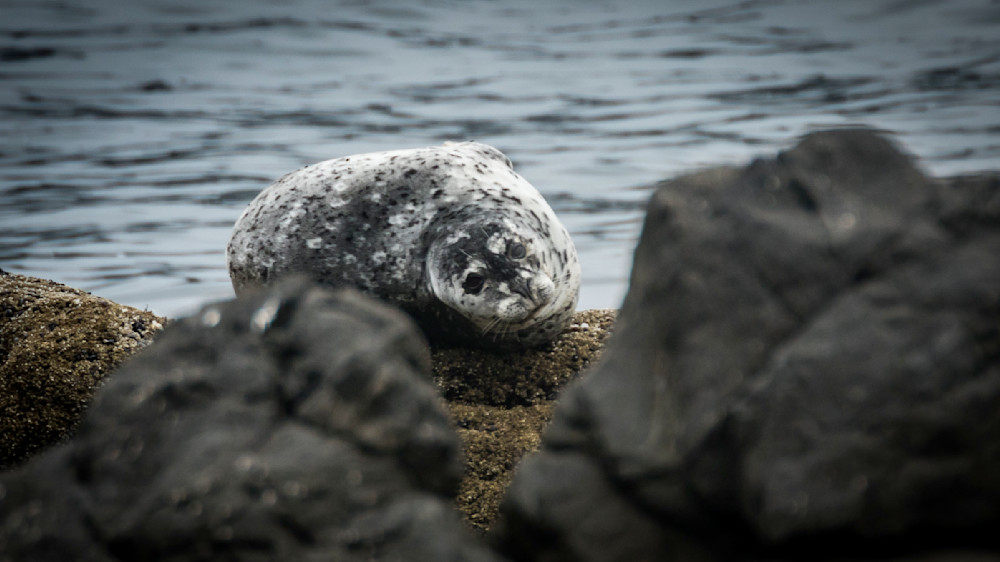 S00 A4478 Photography Art | Captured Adventure Photography