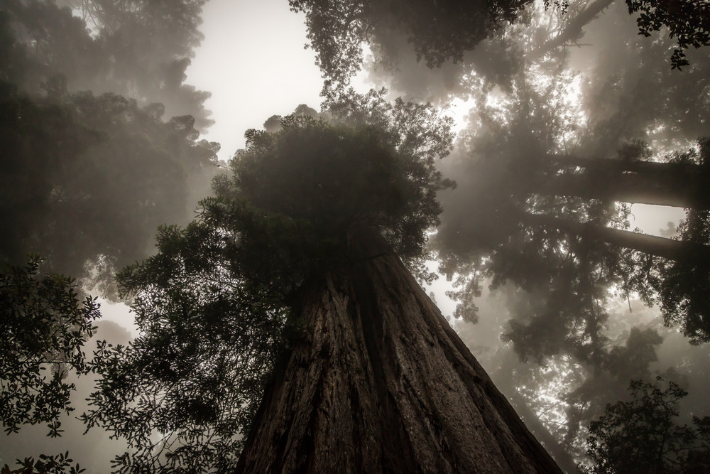 0 Y4 A0730 2 Photography Art | Captured Adventure Photography