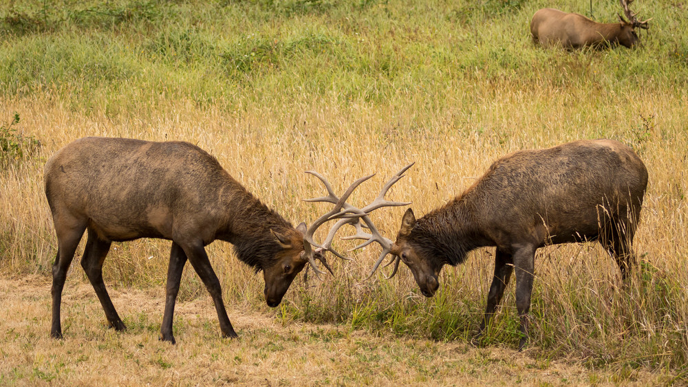 S00 A3952 Photography Art | Captured Adventure Photography