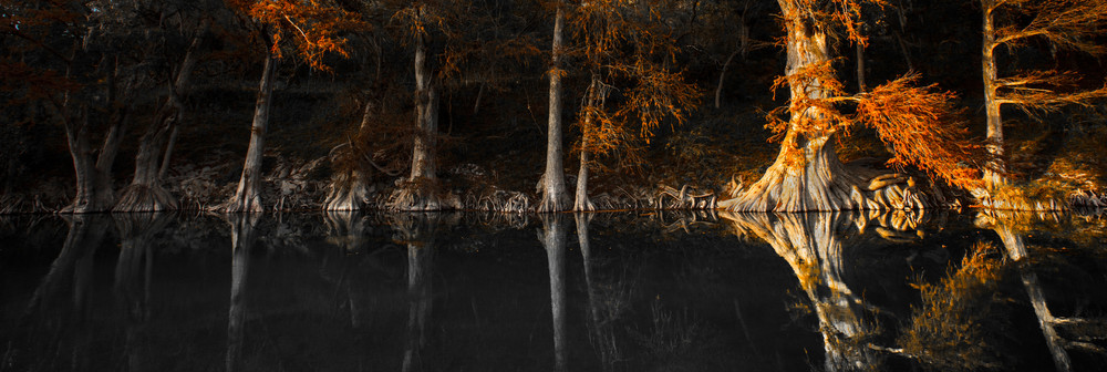 Trees reflected in the Guadalupe River on a fall day