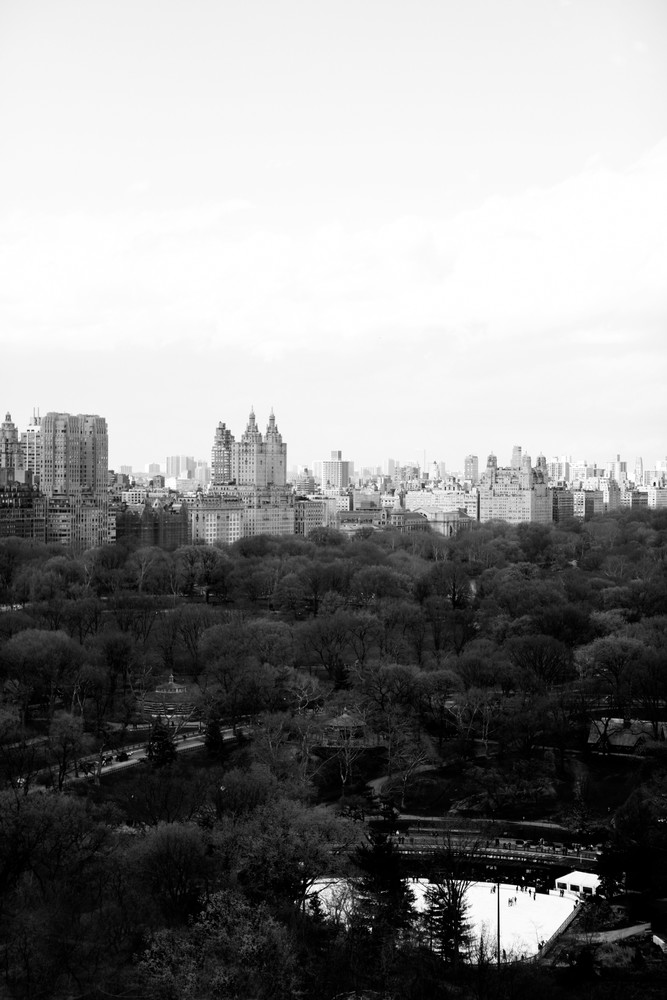 Above Central Park Photography Art | Belathée Fine Arts by Belathée Photography