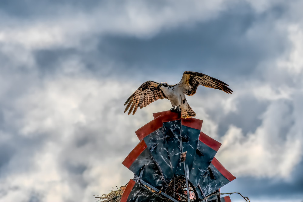 Windmill Take Off Art | Keith Taylor Photography