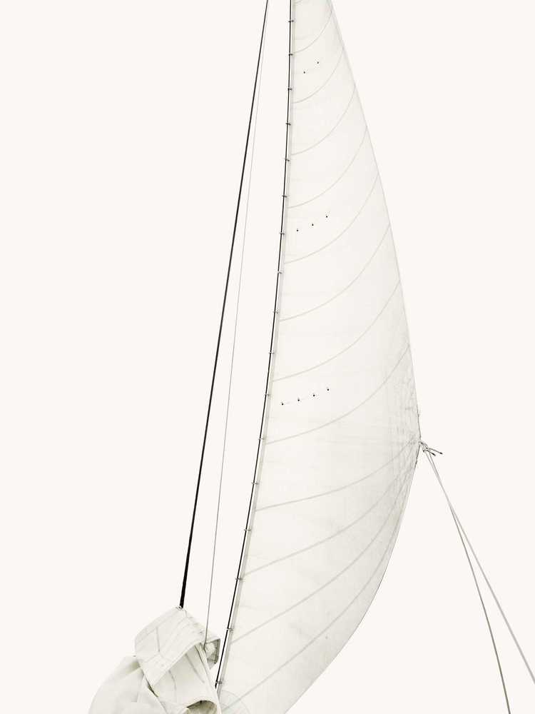 White Sail Photography Art | DE LA Gallery