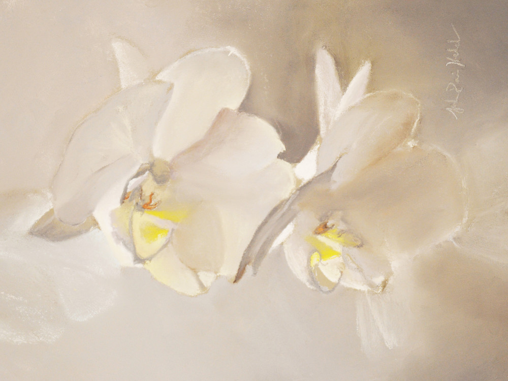 The White Orchids