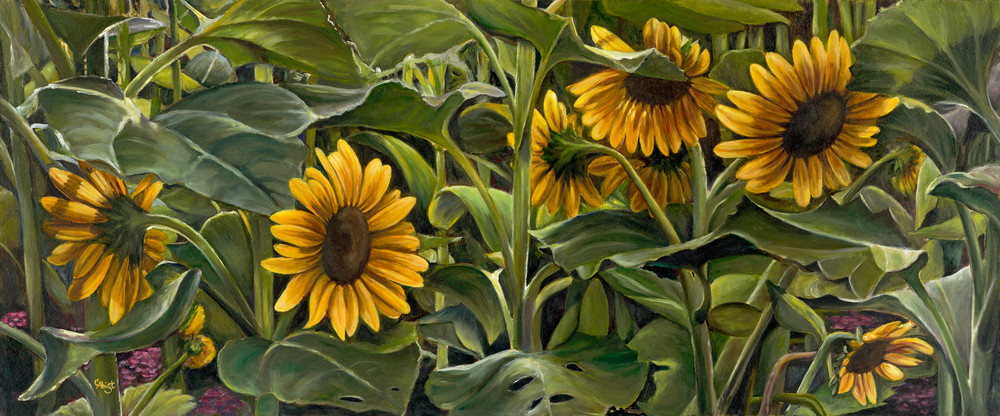 Sunflower Field Art | chrisabigtart
