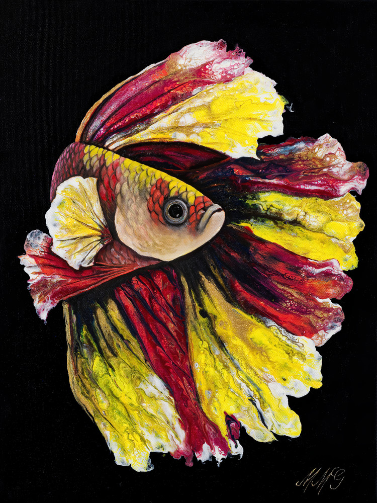 Spanish Betta Art | MMG Art Studio | Fine Art Colorado Gallery Spanish Betta Art | MMG Art Studio | Fine Art Colorado Gallery