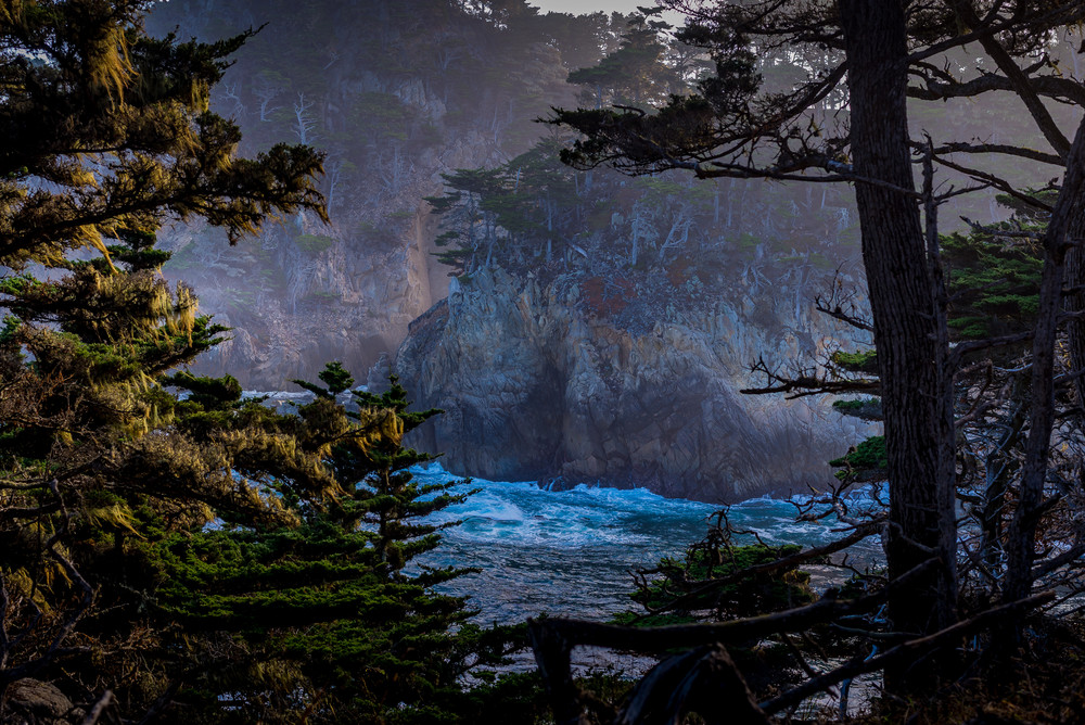 Morning Light At Point Lobos Photography Art | Connie Villa Photography