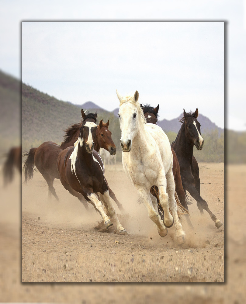 White Horse Run  V 3D Art | Whispering Impressions