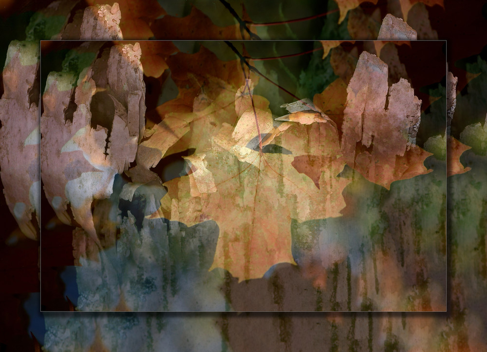 Abstract Leaf 3D Photography Art | Whispering Impressions Abstract Leaf 3D Photography Art | Whispering Impressions