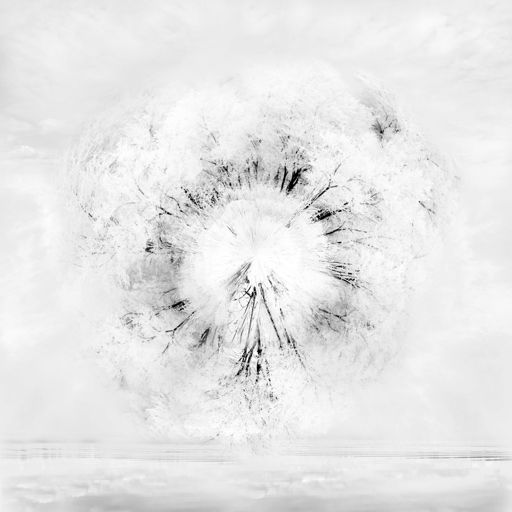 Peace Planet, by Laura Grisamore