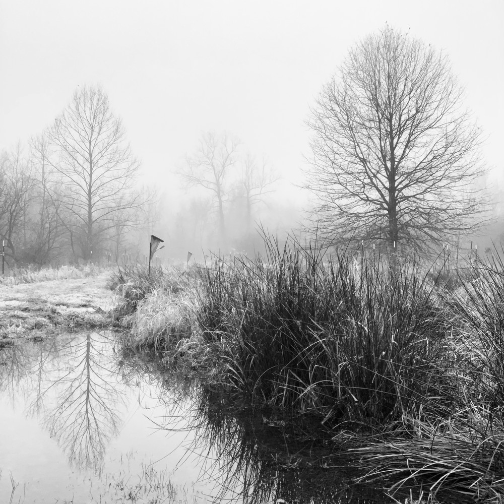 Birdhouse In Fog Photography Art | Roman Coia Photographer