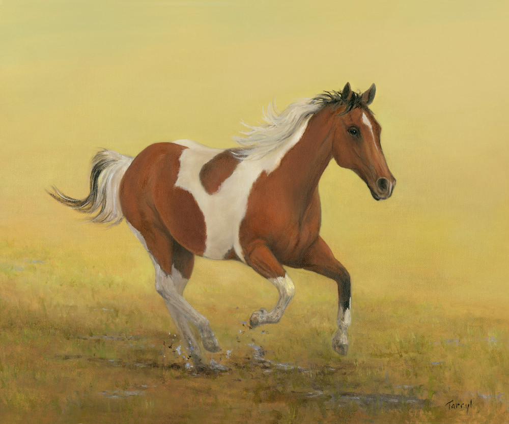 horse, horse-painting, horse-running