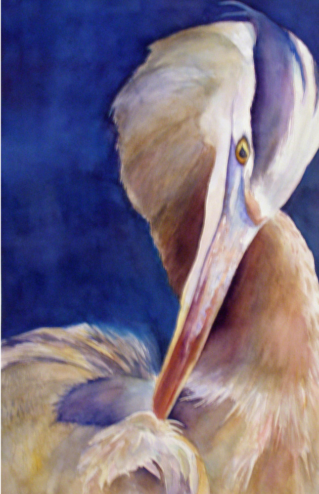 Heron Preening, From an Original Watercolor Painting