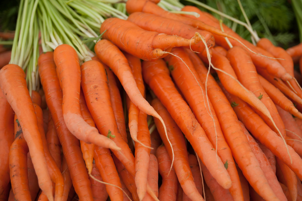 Pile of orange carrots with green tops photograph.