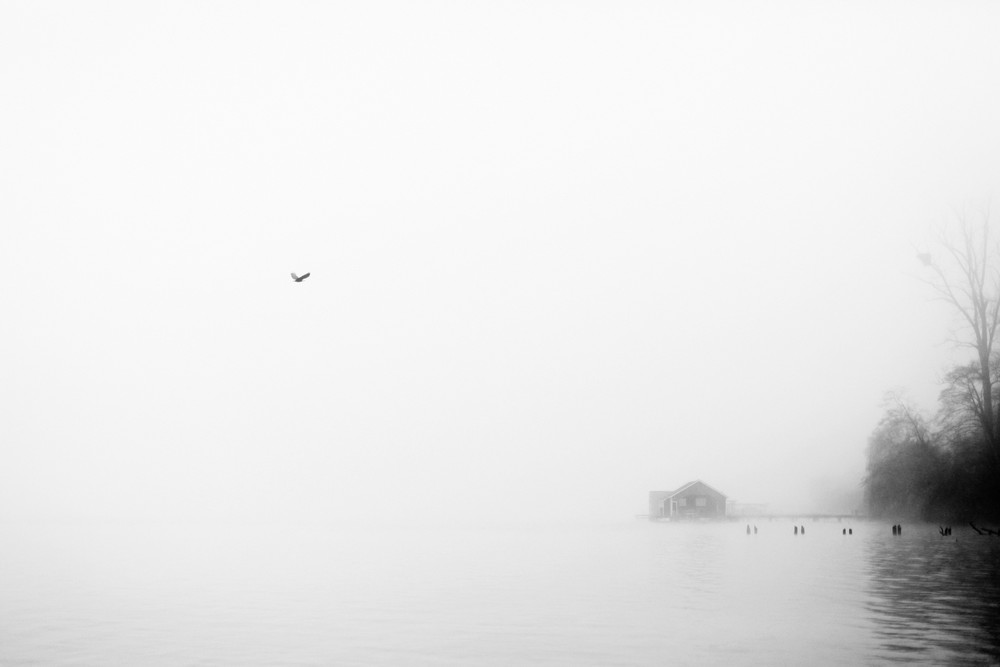 Foggy Morning Photography Art | Belathée Fine Arts by Belathée Photography